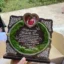 trofeu-personalizat-cu-licheni-pentru-nasii-de-botez review
