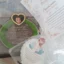 trofeu-personalizat-din-inima-vreti-sa-fiti-nasii-nostri review