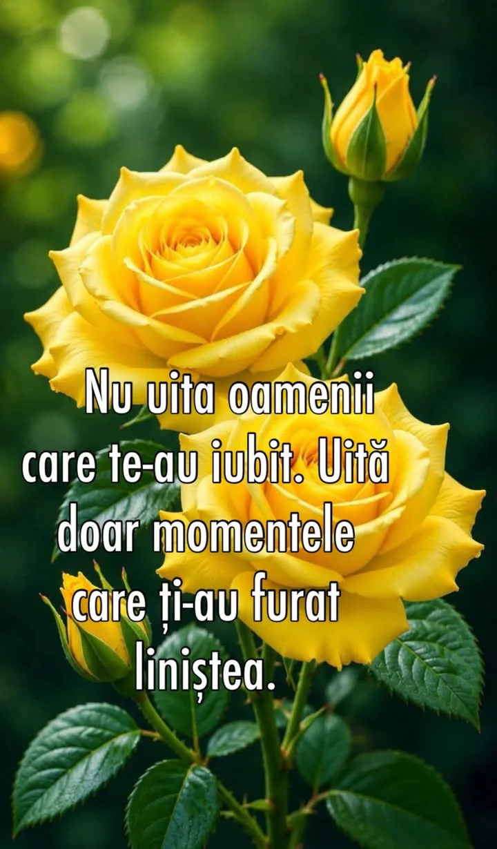 #viral#citat