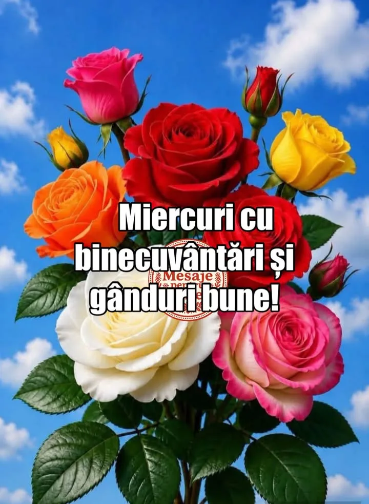 Mesaj pentru suflet 2026-07-01T04:12:43+0000
