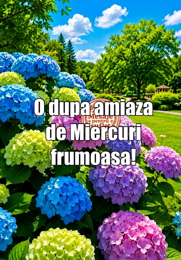 Buna ziua, prieteni!🌹