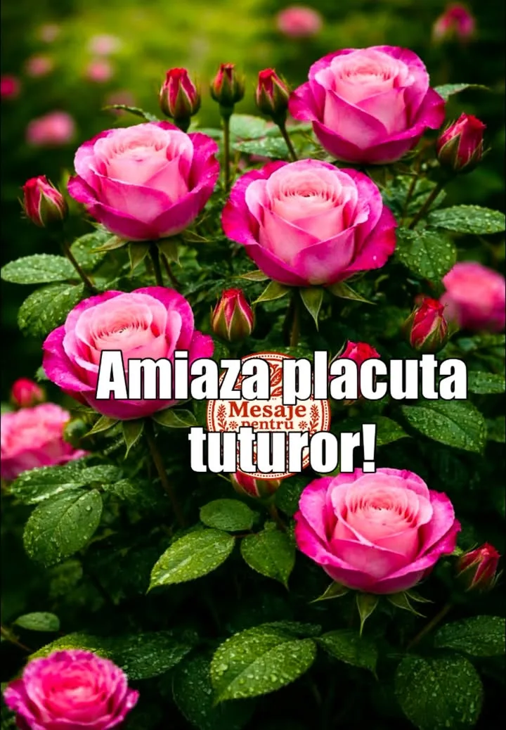 Mesaj pentru suflet 2026-07-01T10:46:46+0000