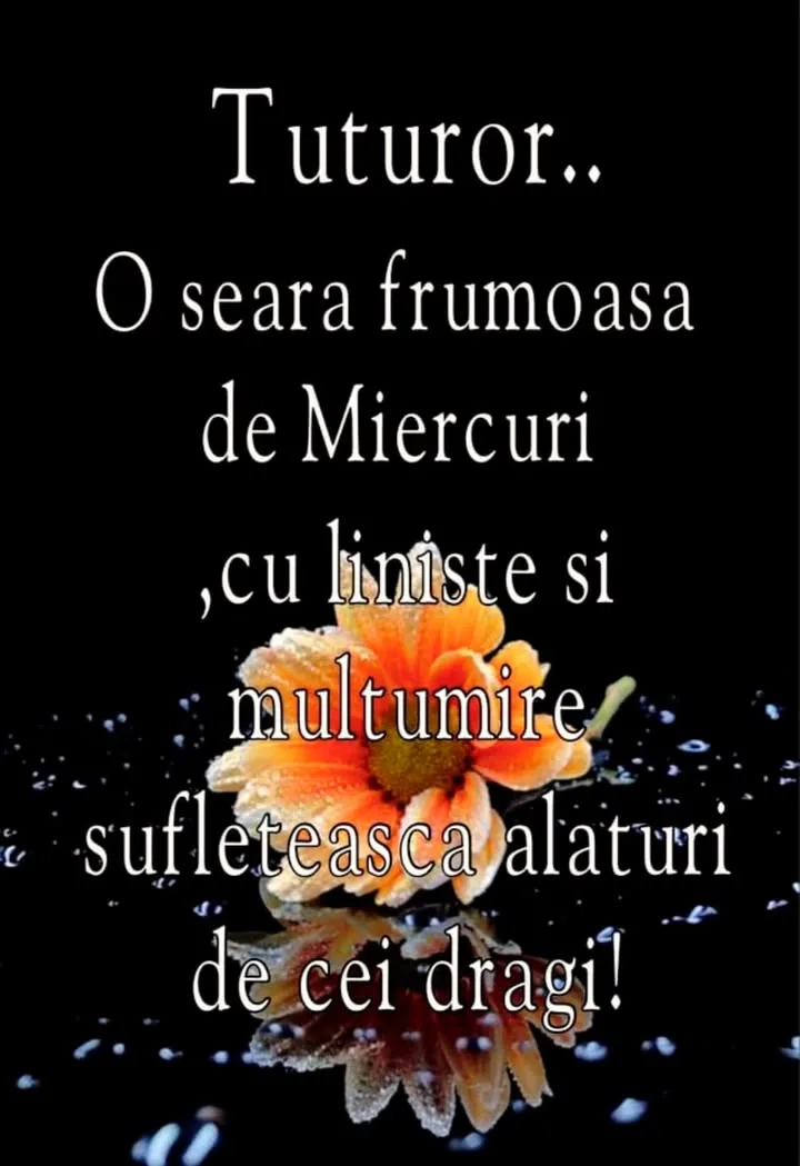 Mesaj pentru suflet 2026-07-01T16:04:42+0000