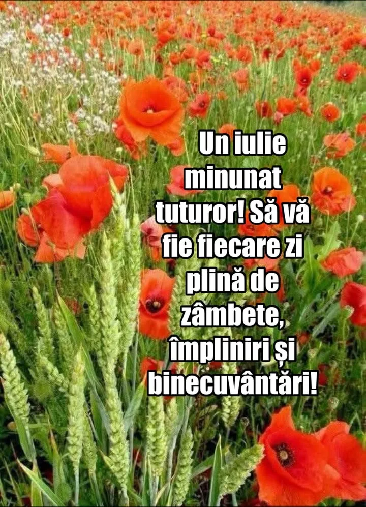 Mesaj pentru suflet 2026-07-01T10:13:54+0000
