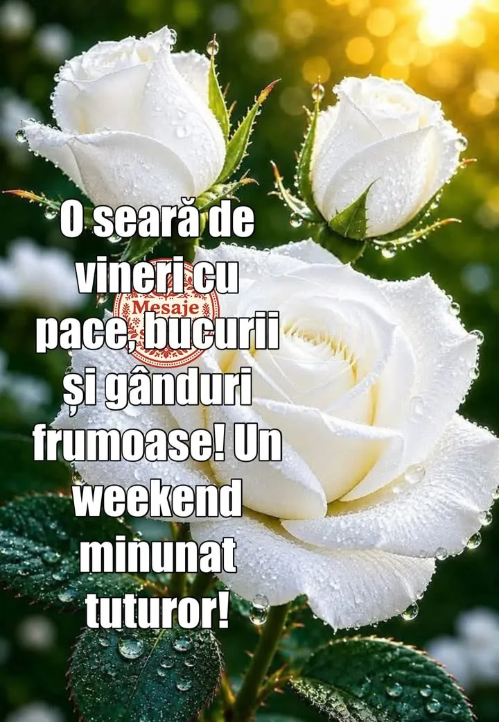 Seara frumoasa tuturor!🌺