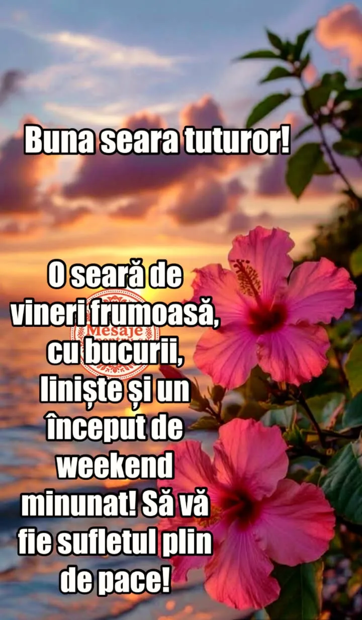 Mesaj pentru suflet 2026-07-03T13:58:32+0000