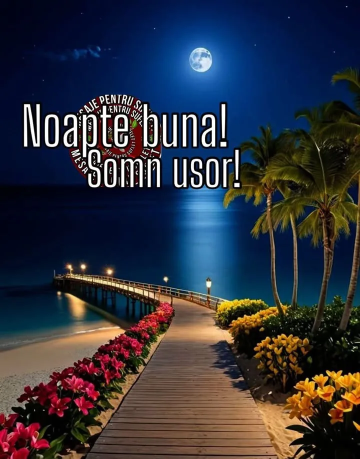 Mesaj pentru suflet 2026-07-01T17:53:45+0000