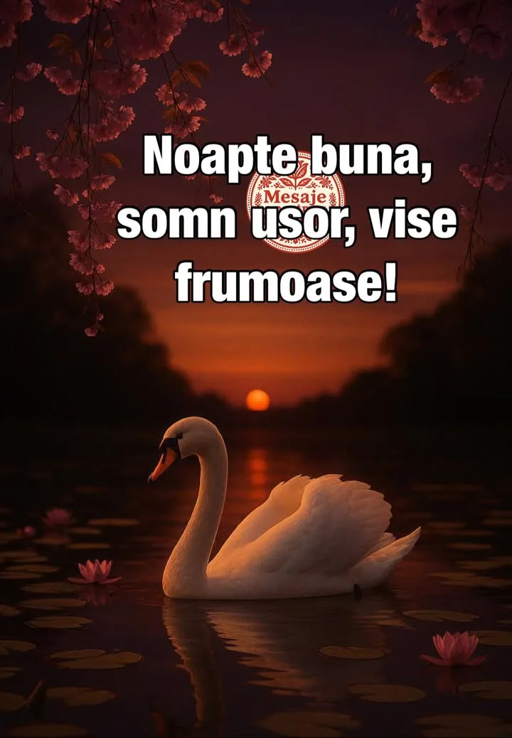 Mesaj pentru suflet 2026-07-04T16:31:32+0000