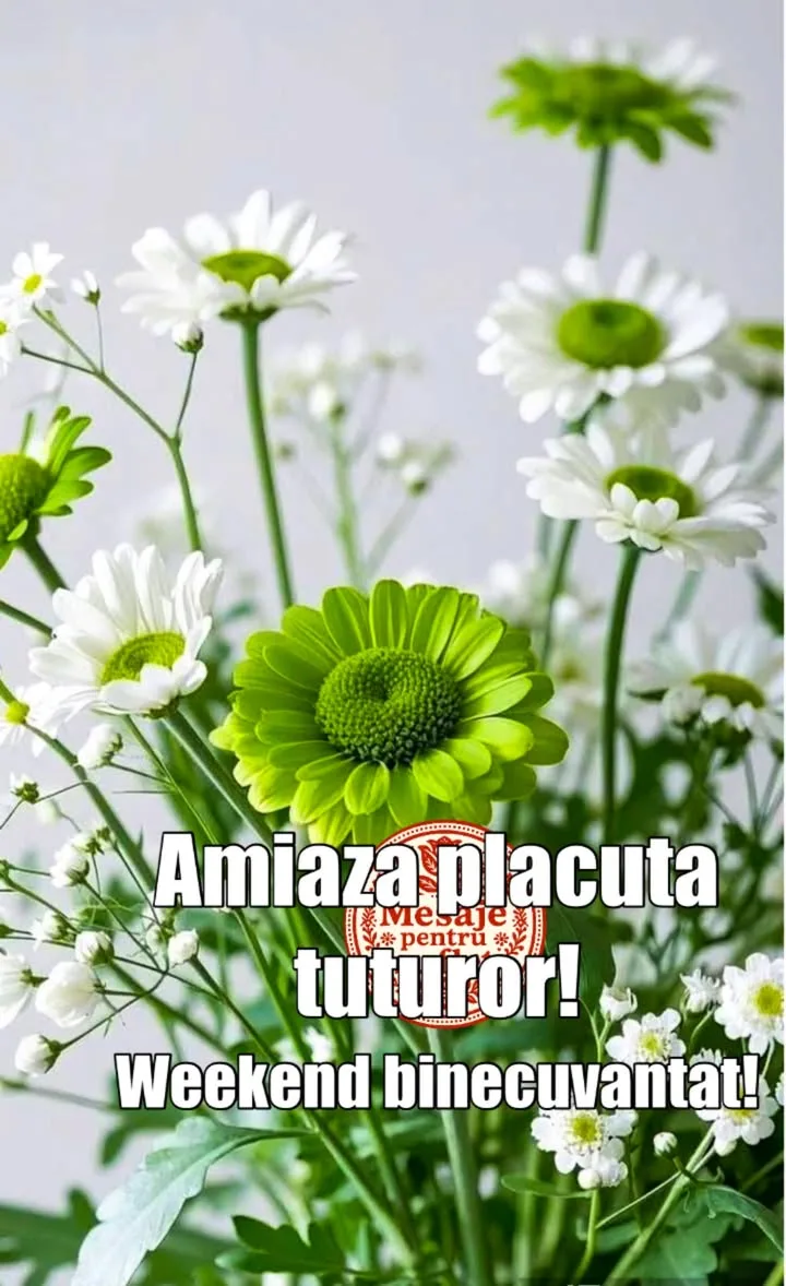 Mesaj pentru suflet 2026-07-03T10:57:13+0000