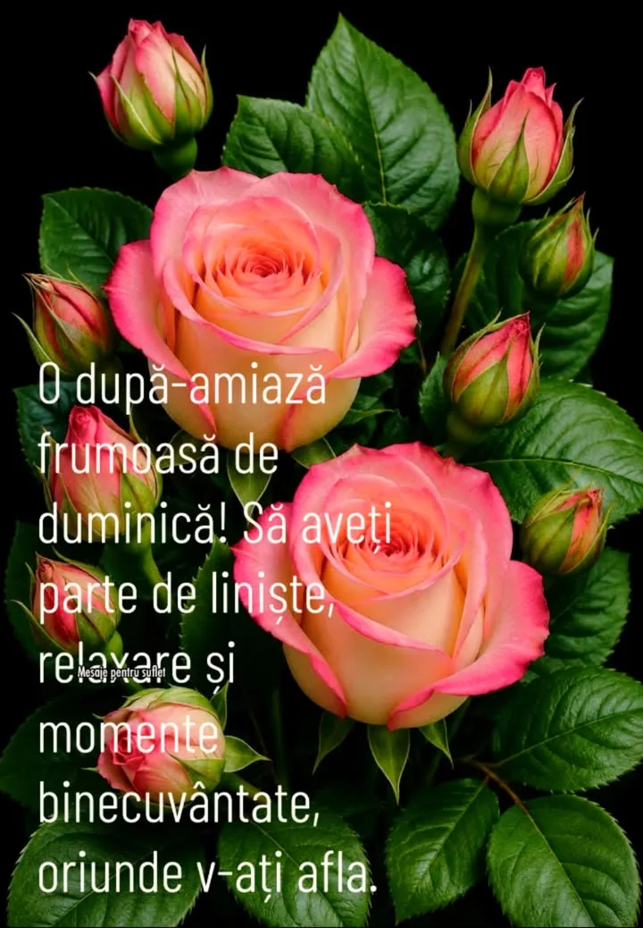 Buna ziua, prieteni!🌸