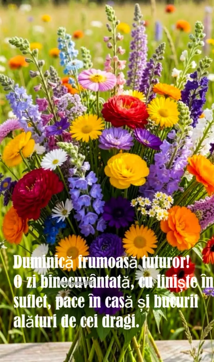 Mesaj pentru suflet 2026-07-05T10:23:31+0000
