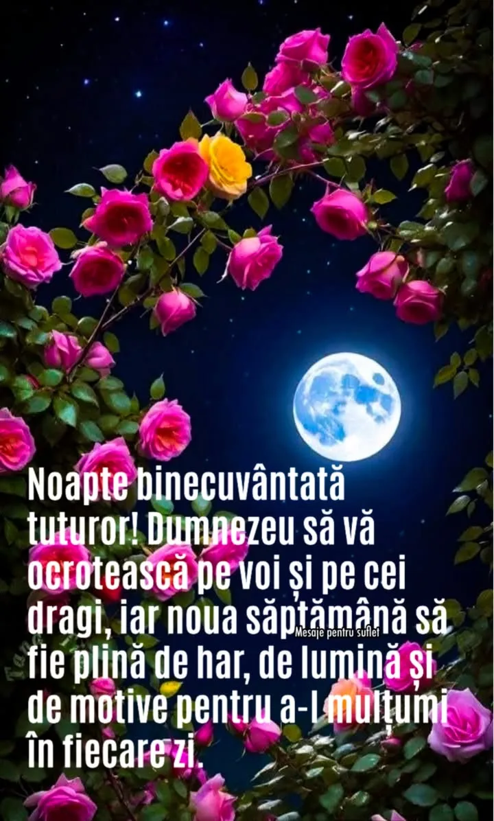 Noapte buna tuturor!💫