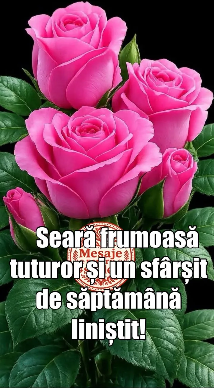 Mesaj pentru suflet 2026-07-04T16:00:29+0000