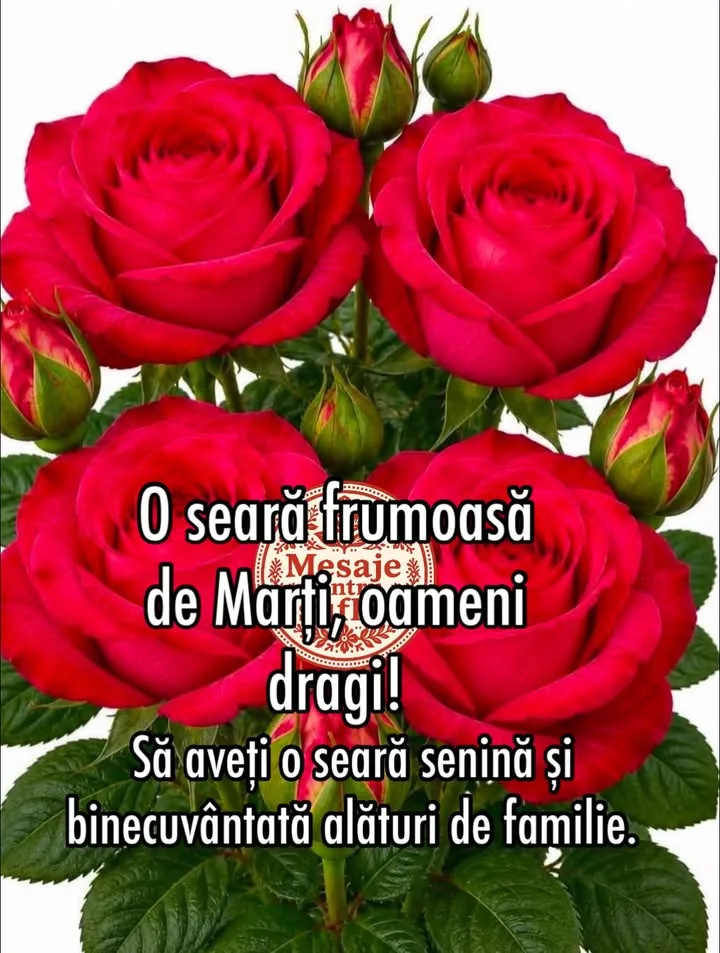 Mesaj pentru suflet 2026-07-07T15:40:56+0000