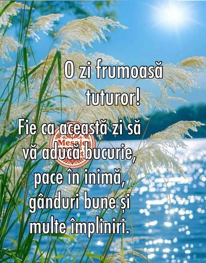 Mesaj pentru suflet 2026-07-07T04:33:48+0000