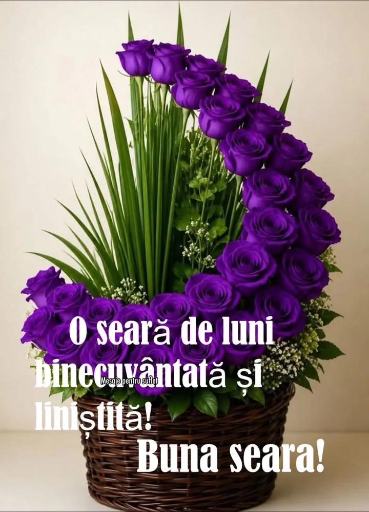 Mesaj pentru suflet 2026-07-06T14:45:42+0000