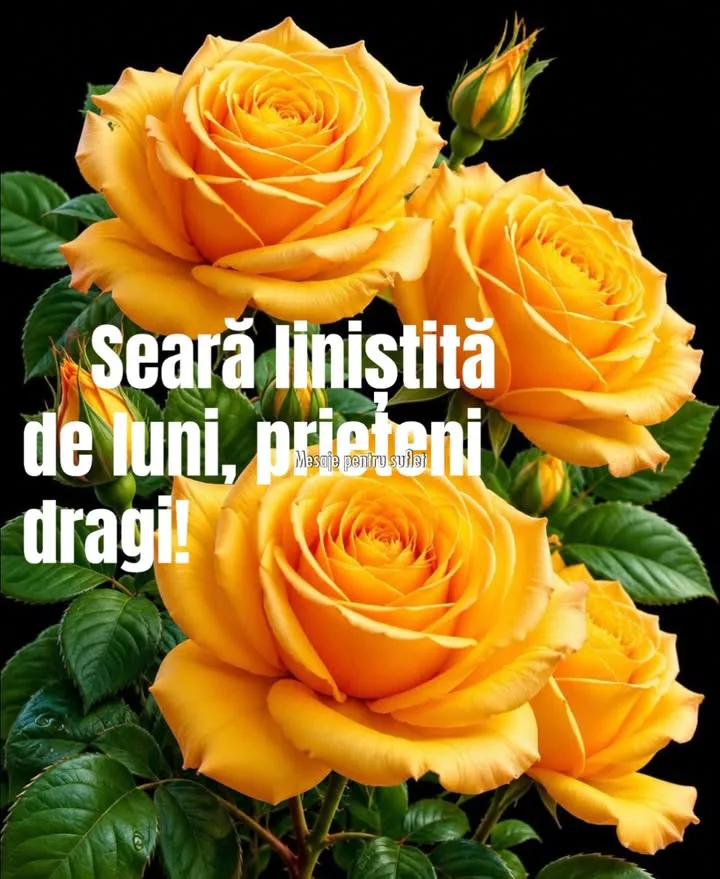 Mesaj pentru suflet 2026-07-06T15:30:53+0000