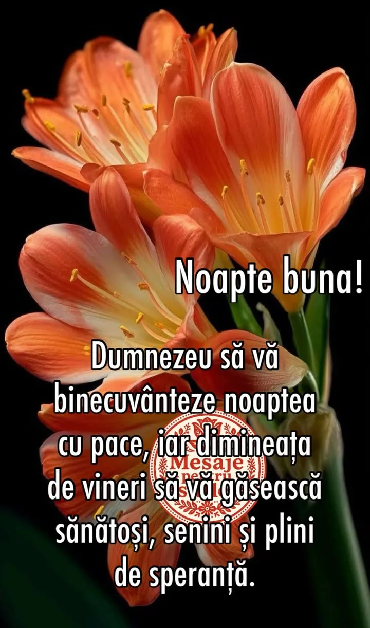Mesaj pentru suflet 2026-07-09T16:23:45+0000