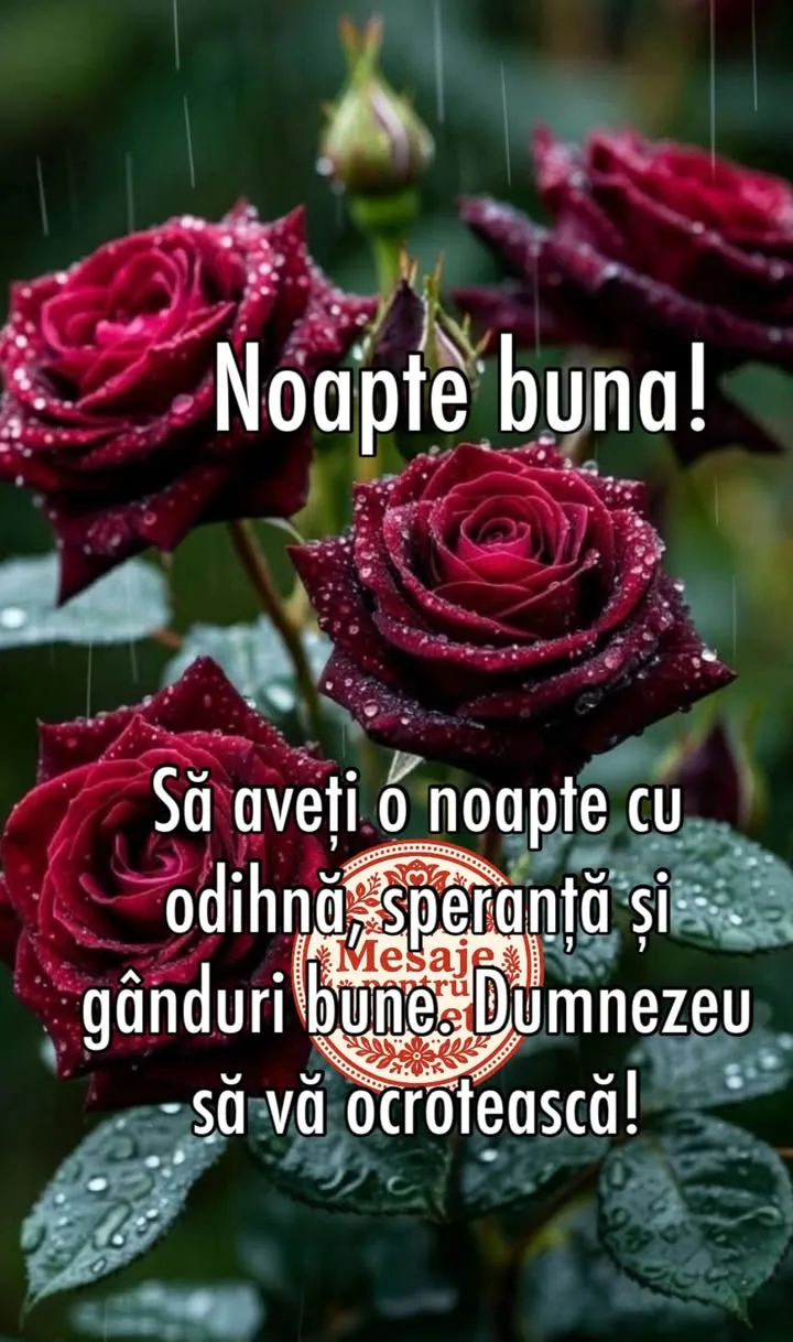 Noapte buna!💫#viral