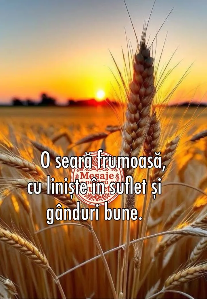 Seara frumoasa tuturor!💐