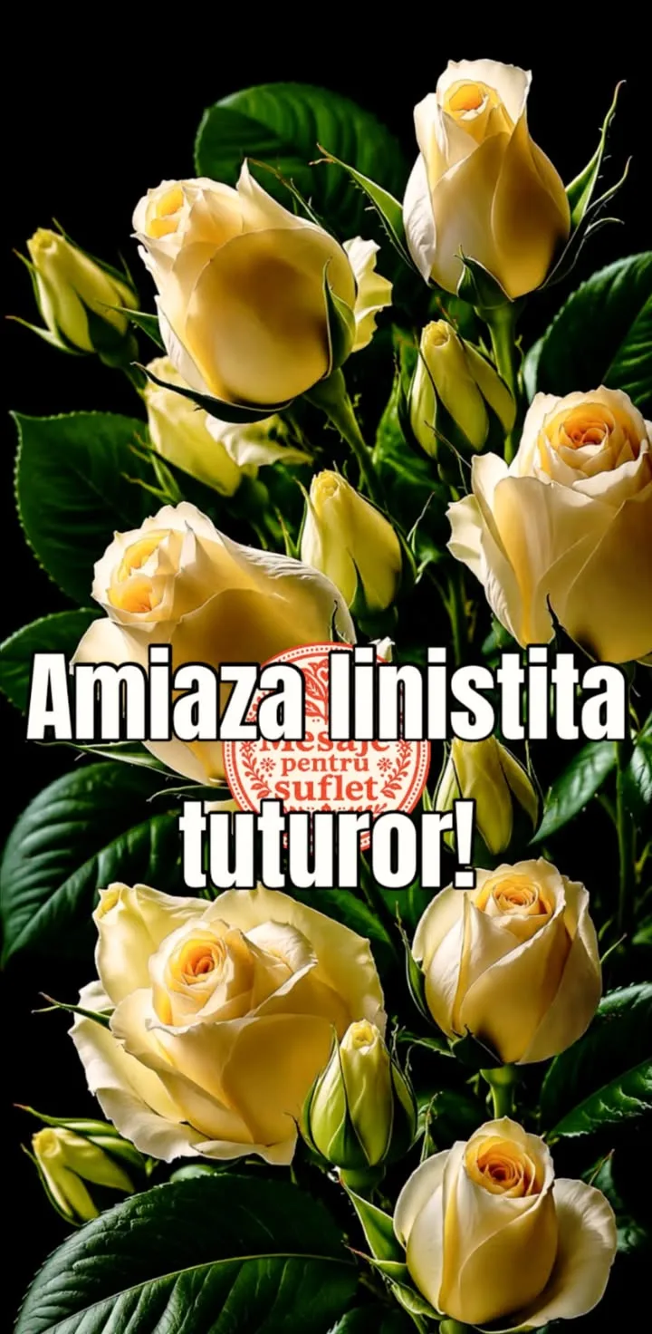 Mesaj pentru suflet 2026-07-08T10:01:00+0000
