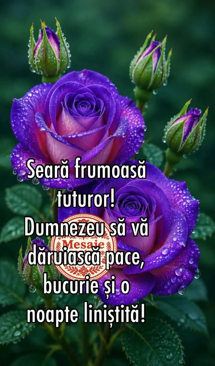 Mesaj pentru suflet 2026-07-08T16:03:19+0000