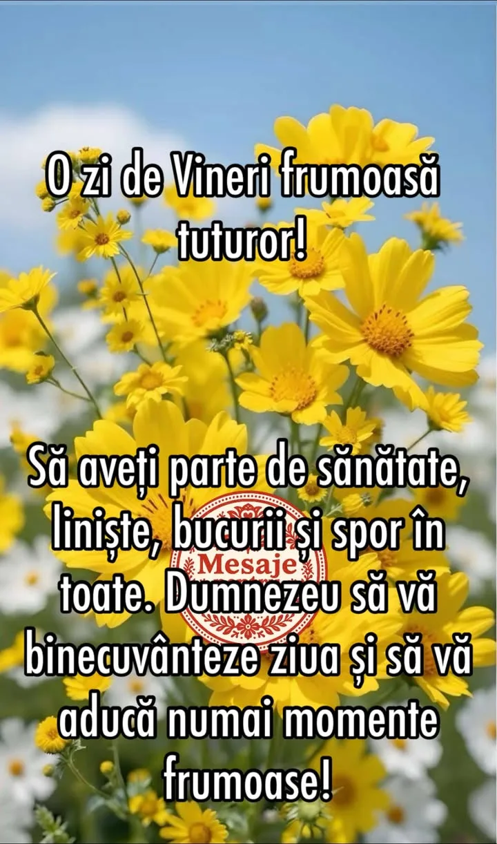 Mesaj pentru suflet 2026-07-10T04:15:31+0000