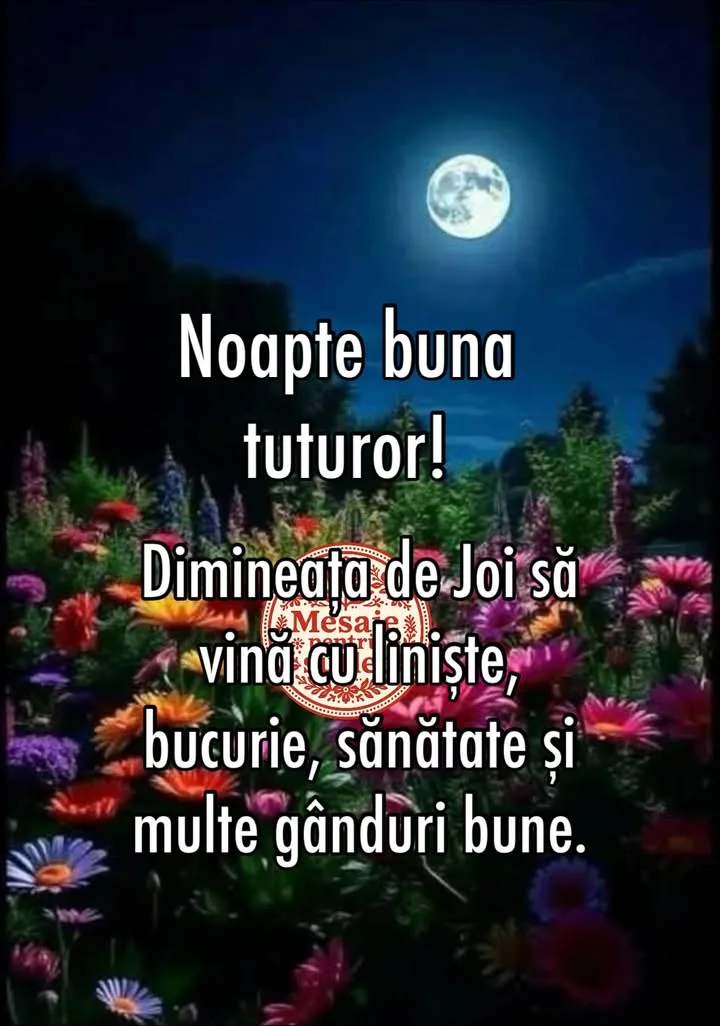 Mesaj pentru suflet 2026-07-08T17:14:24+0000