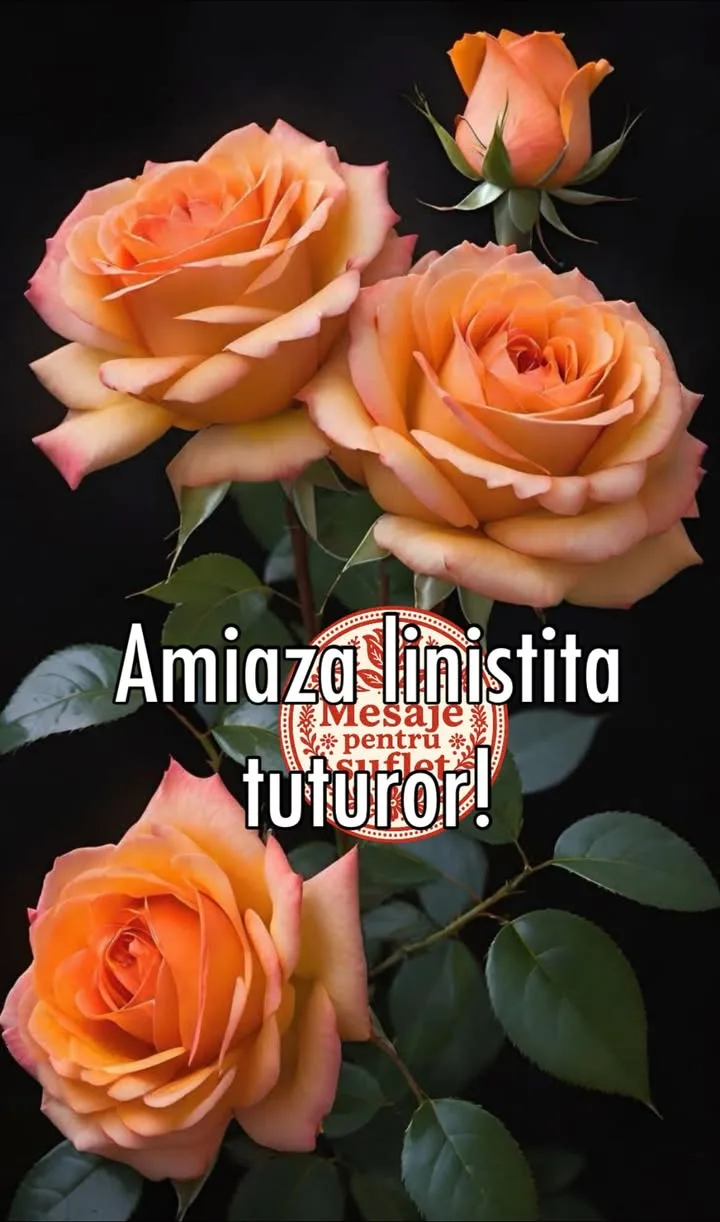 Mesaj pentru suflet 2026-07-10T10:38:12+0000