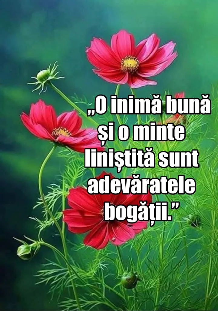 #viral#citat