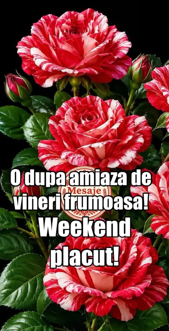 Buna ziua, prieteni!🌹