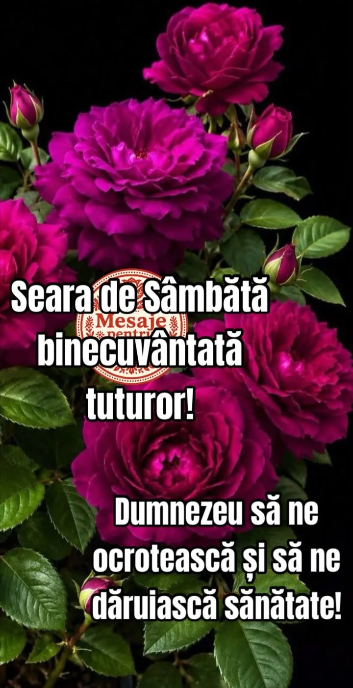 Mesaj pentru suflet 2026-07-11T15:27:46+0000